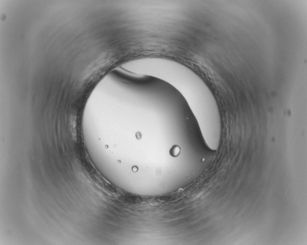 X0000088840696200706281822