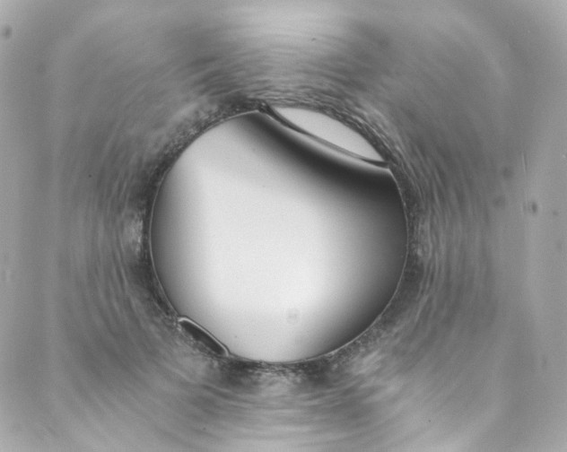 X0000088840697200706281822