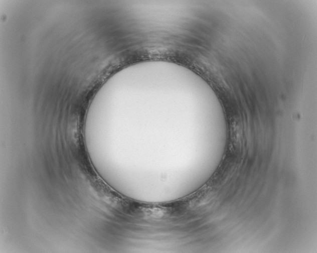 X0000088840698200706281822