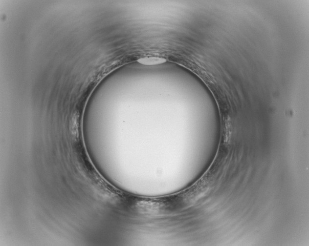 X0000088840699200706281822