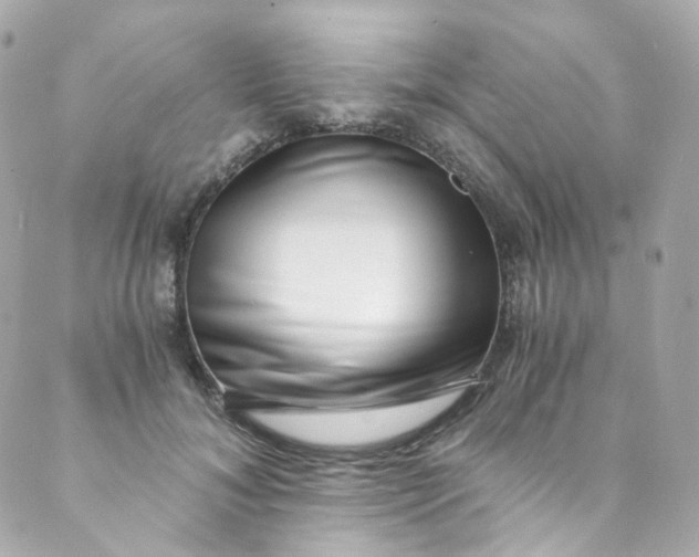 X0000088840700200706281822