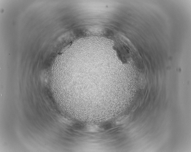 X0000088840701200706281822