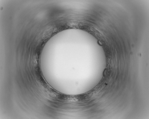 X0000088840702200706281822