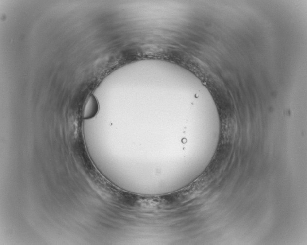 X0000088840703200706281822