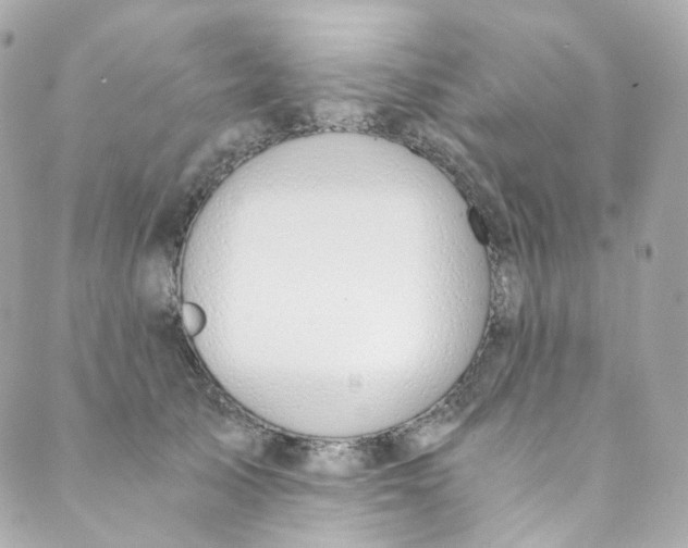 X0000088840705200706281821