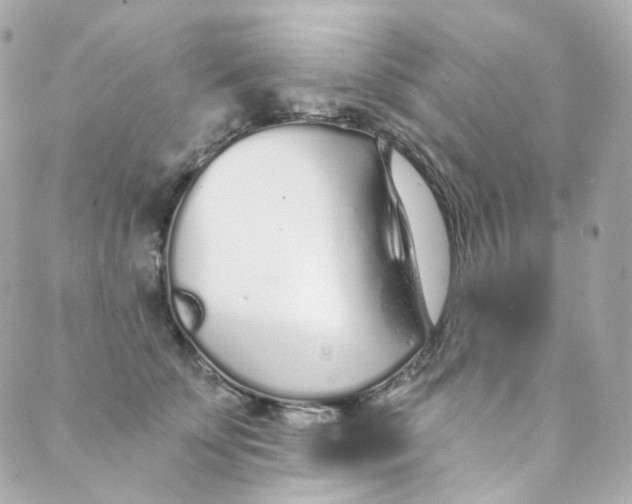 X0000088840707200706281821