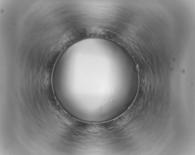 X0000088840708200706281821