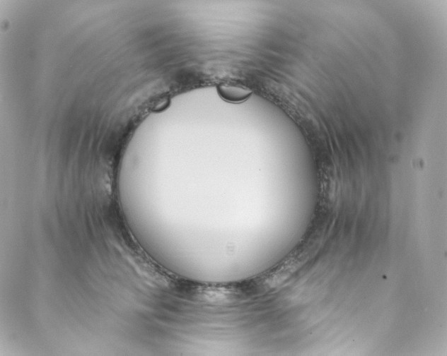 X0000088840710200706281821