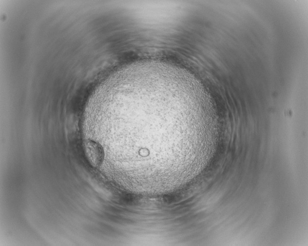 X0000088840711200706281821