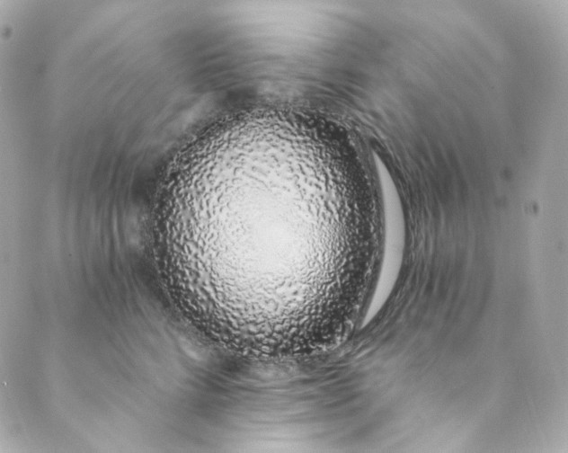 X0000088840712200706281821