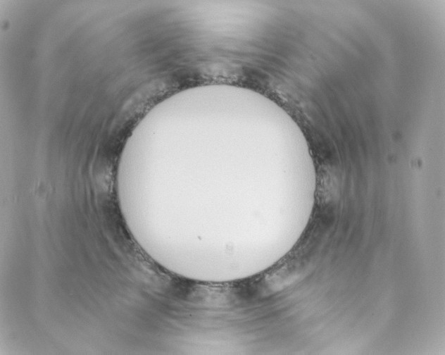 X0000088840713200706281821