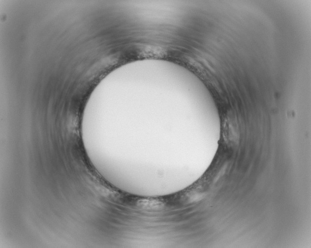 X0000088840714200706281821