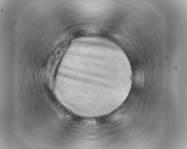 X0000088840715200706281821