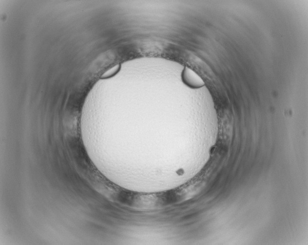 X0000088840717200706281821