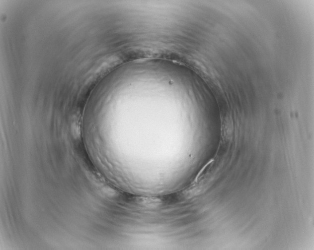 X0000088840719200706281821