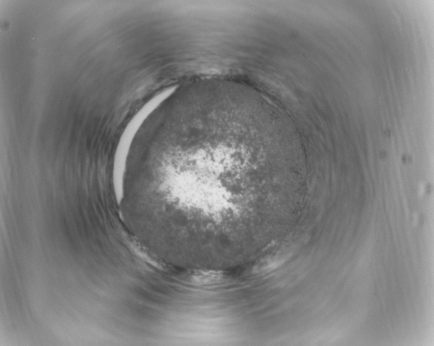 X0000088840720200706281821