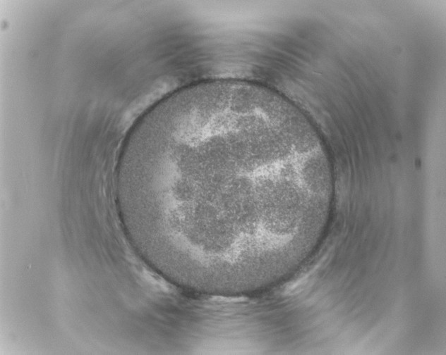 X0000088840721200706281820