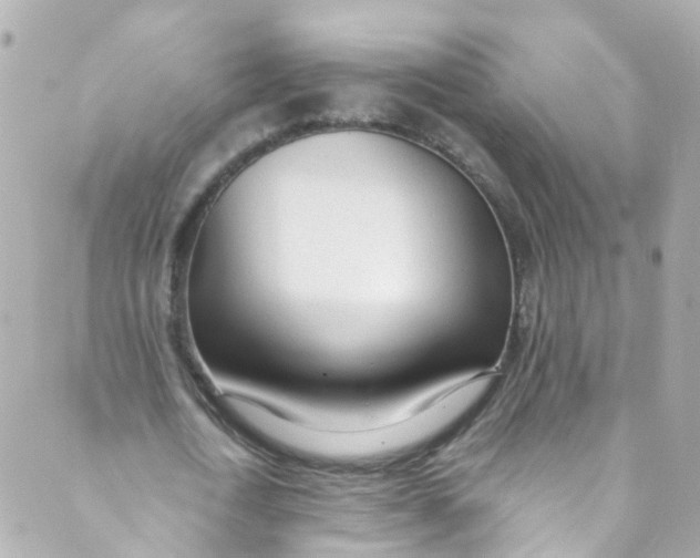 X0000088840722200706281820