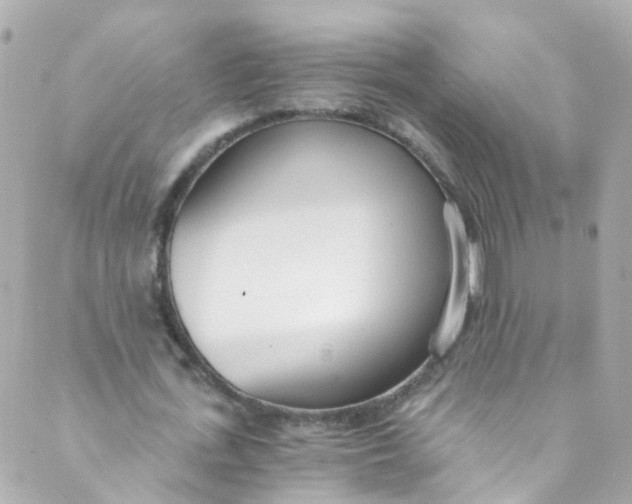 X0000088840723200706281820