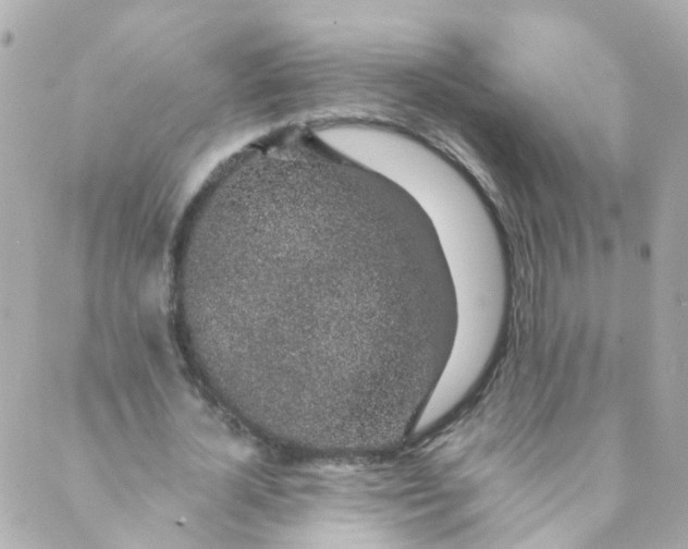 X0000088840724200706281821