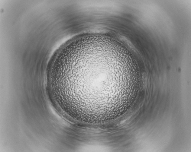 X0000088840726200706281821