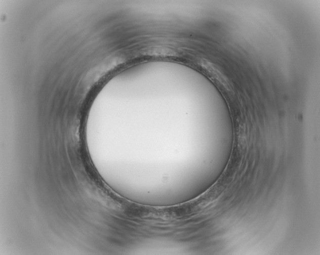 X0000088840727200706281821