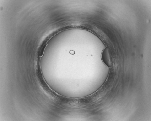 X0000088840728200706281821