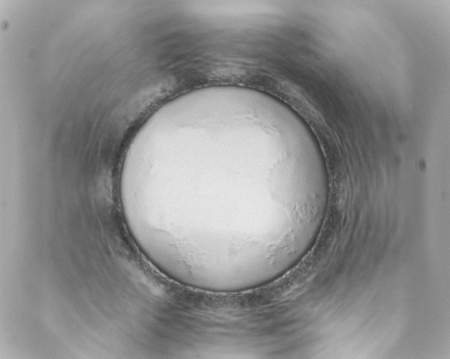 X0000088840729200706281821