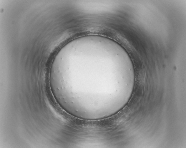 X0000088840730200706281821