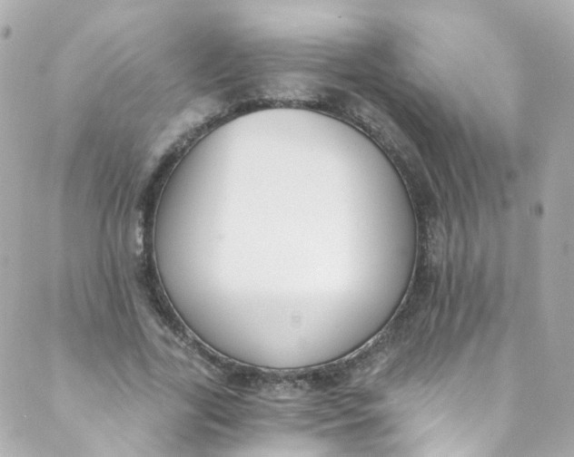 X0000088840731200706281821