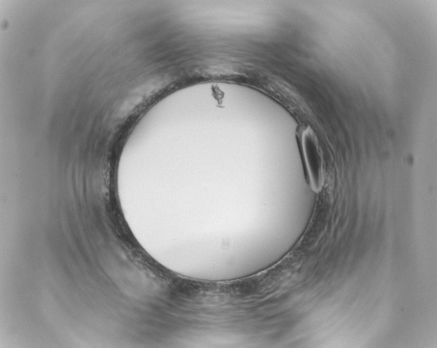 X0000088840732200706281821