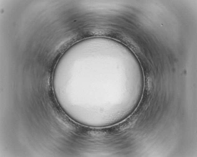 X0000088840733200706281821