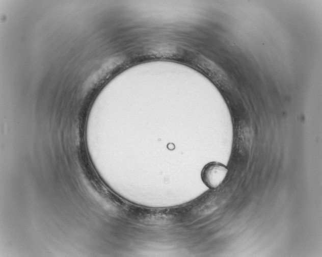 X0000088840734200706281821