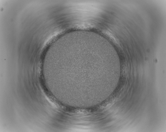 X0000088840736200706281821