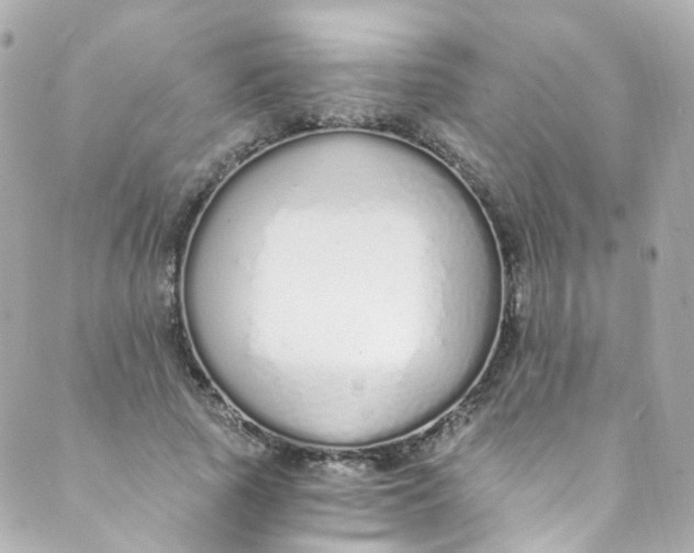 X0000088840737200706281821