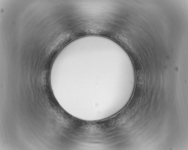 X0000088840738200706281821