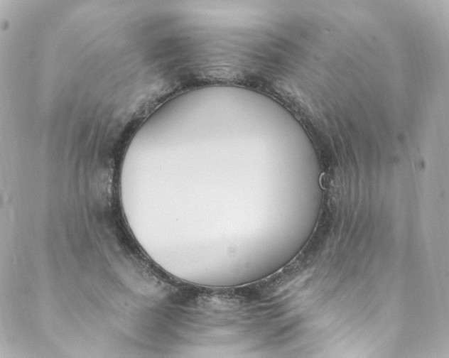 X0000088840739200706281821