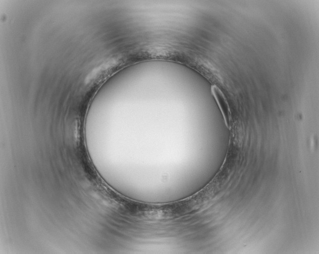 X0000088840740200706281821