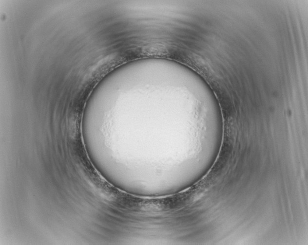 X0000088840741200706281821