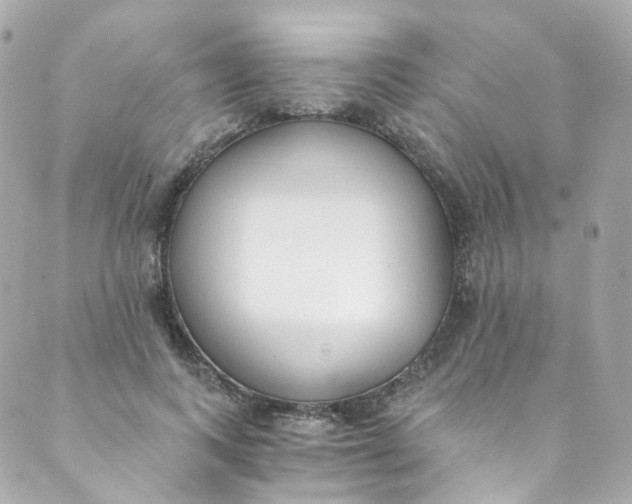 X0000088840743200706281821