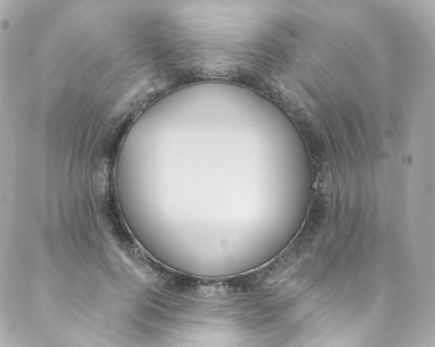 X0000088840744200706281821