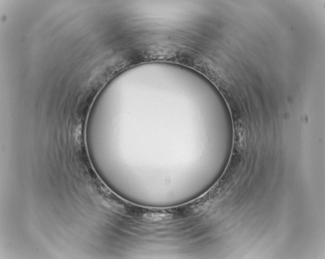 X0000088840745200706281821