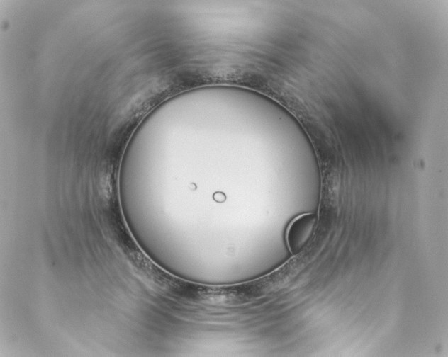 X0000088840746200706281821