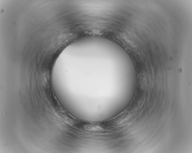 X0000088840747200706281821