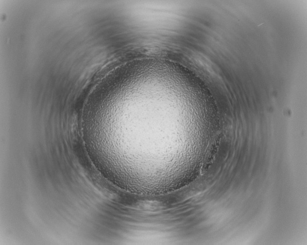 X0000088840748200706281821