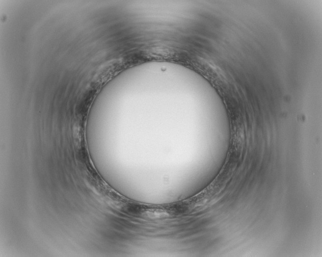 X0000088840749200706281821