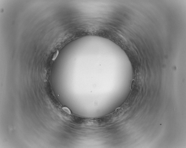 X0000088840750200706281821