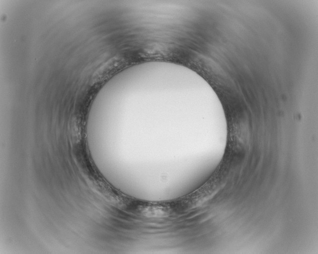 X0000088840751200706281821