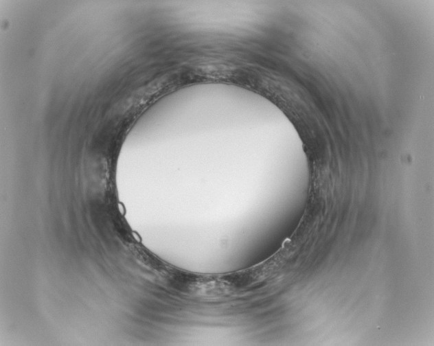 X0000088840752200706281821