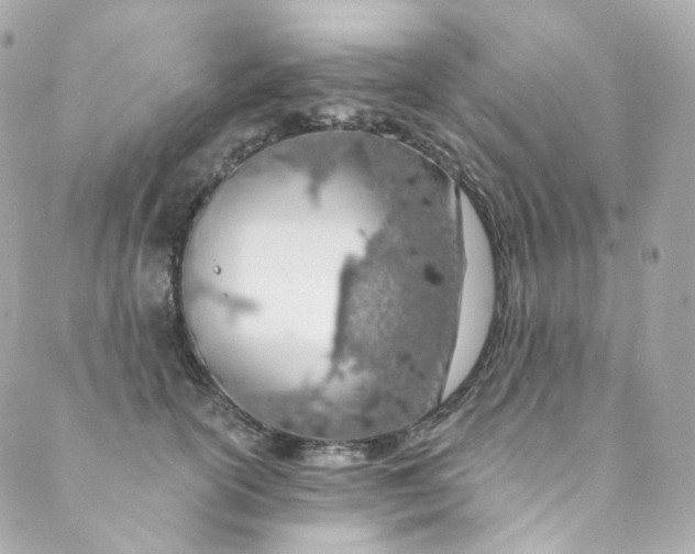 X0000088840754200706281821